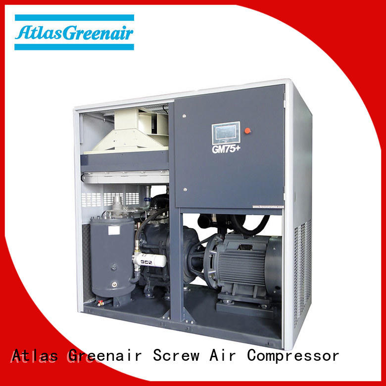 Atlas Greenair Screw Air Compressor professional variable speed air compressor with four pole motor for tropical area