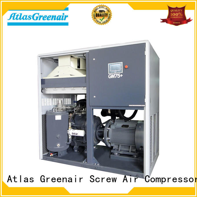 variable speed air compressor vsd for sale Atlas Greenair Screw Air Compressor